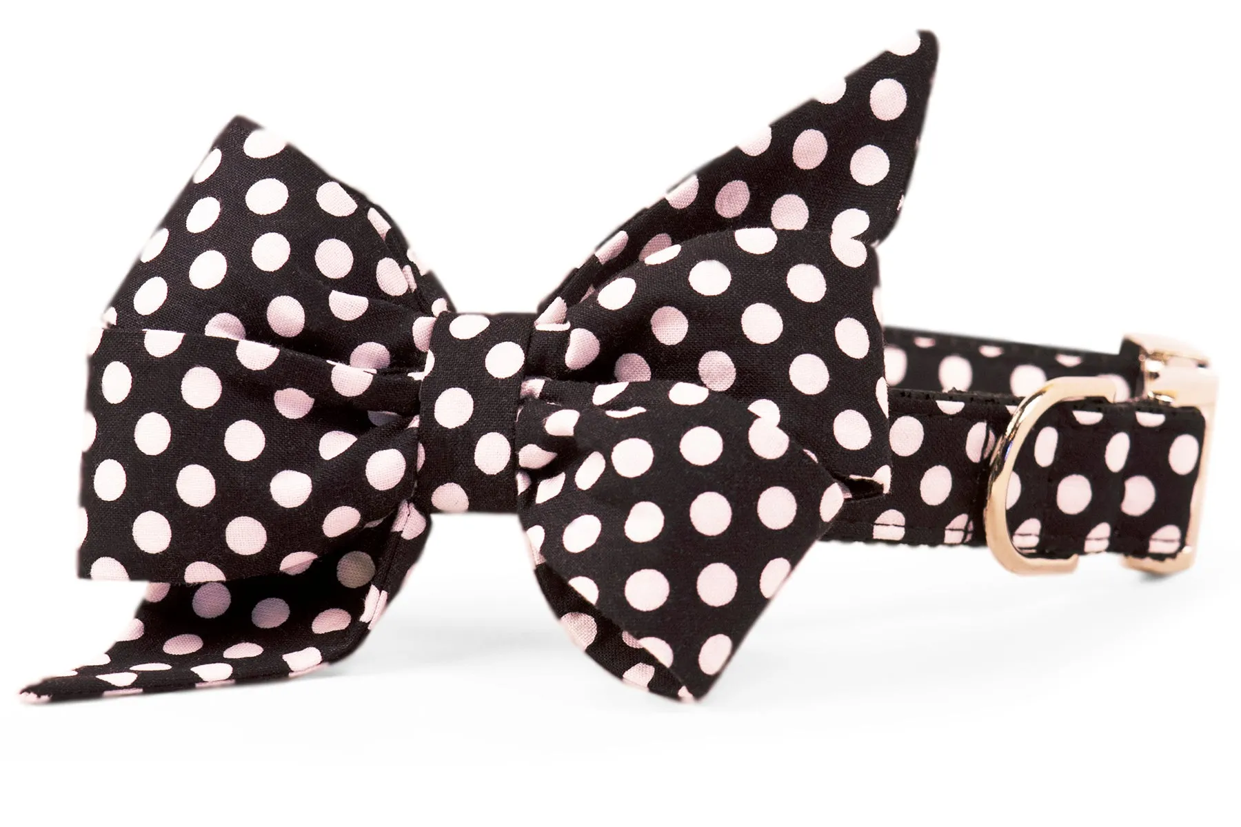 Black & White Polka Dot Belle Bow Dog Collar