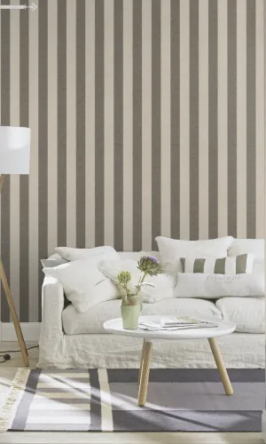 Kerala Beige Duo Stripe 551655