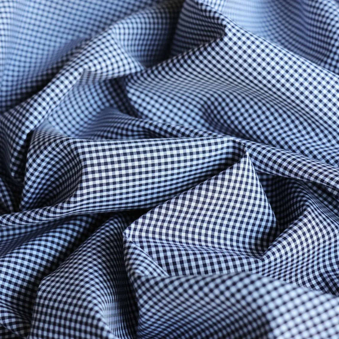 Marina Blu Gingham Shirting