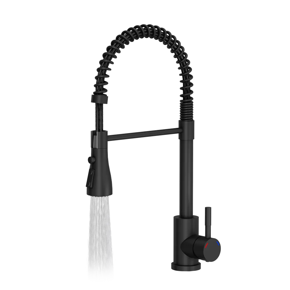 Quadron Salma flexible tap with spray & water stop function, Matte Black