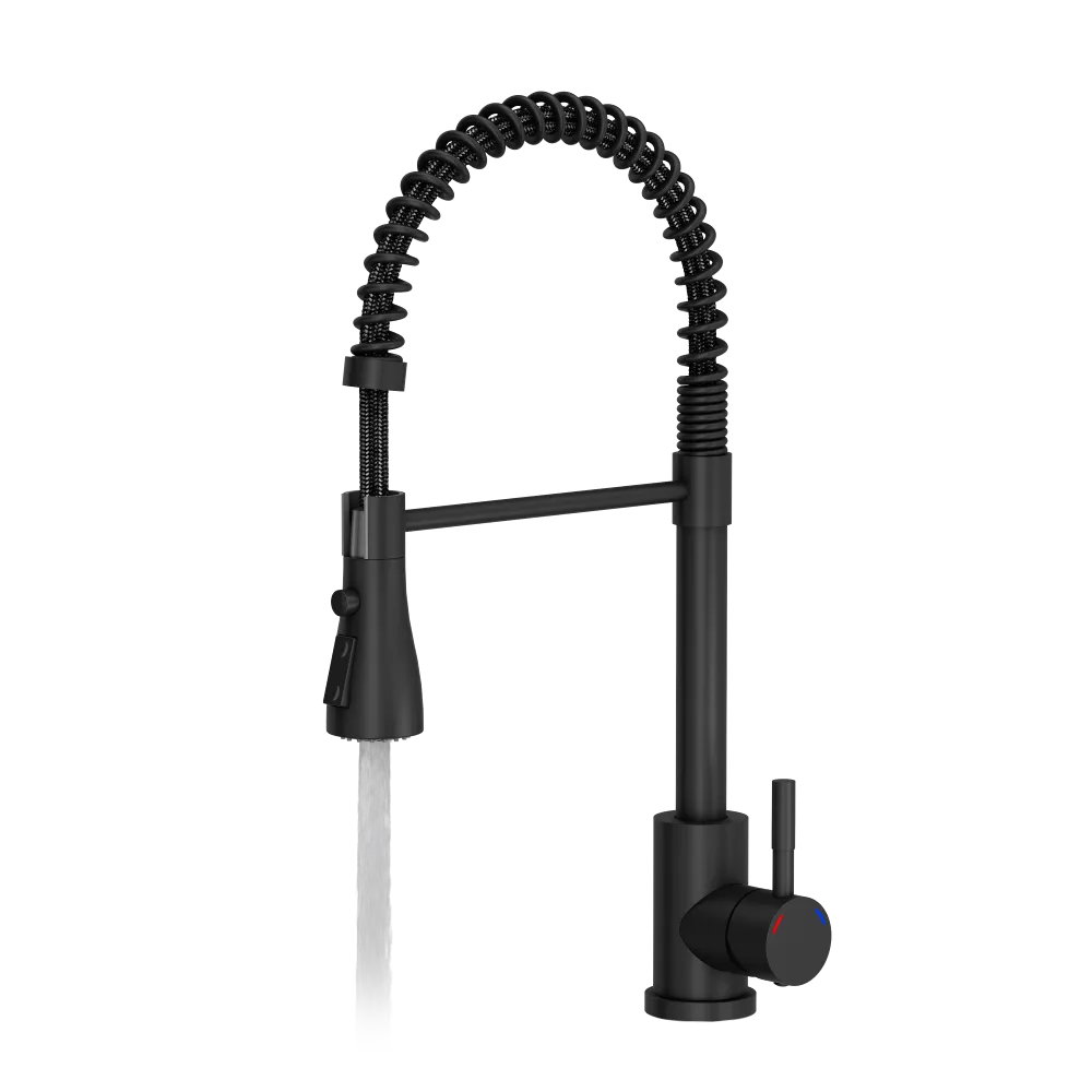 Quadron Salma flexible tap with spray & water stop function, Matte Black