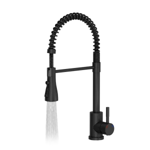 Quadron Salma flexible tap with spray & water stop function, Matte Black